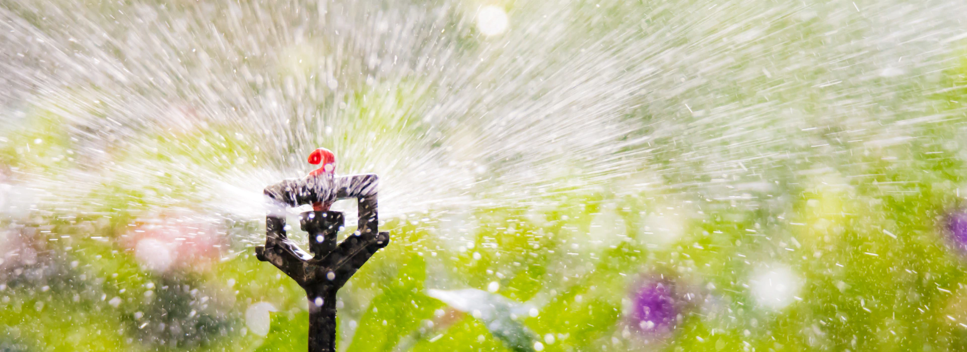 close up of water sprinkler